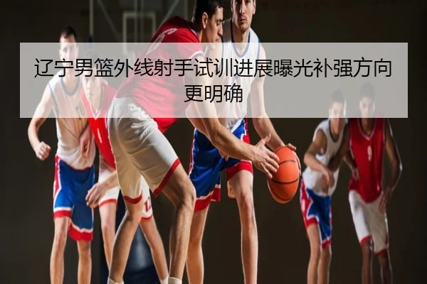 辽宁男篮外线射手试训进展曝光补强方向更明确